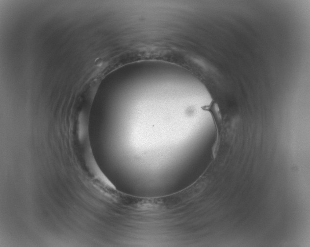 X0000081310756200701181902