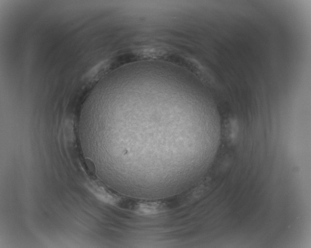 X0000081310757200701181902