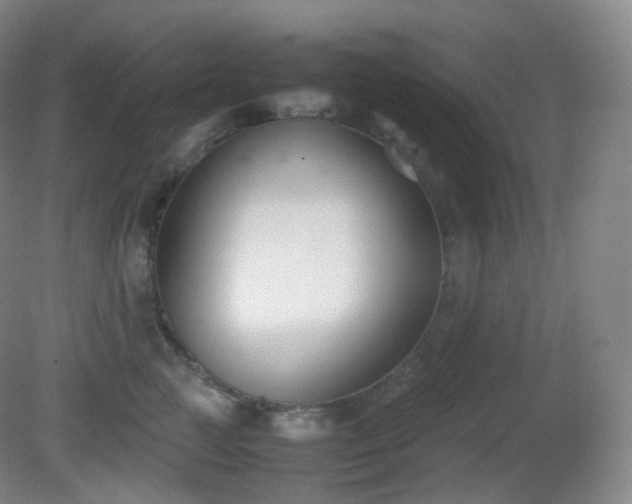 X0000081310761200701181902