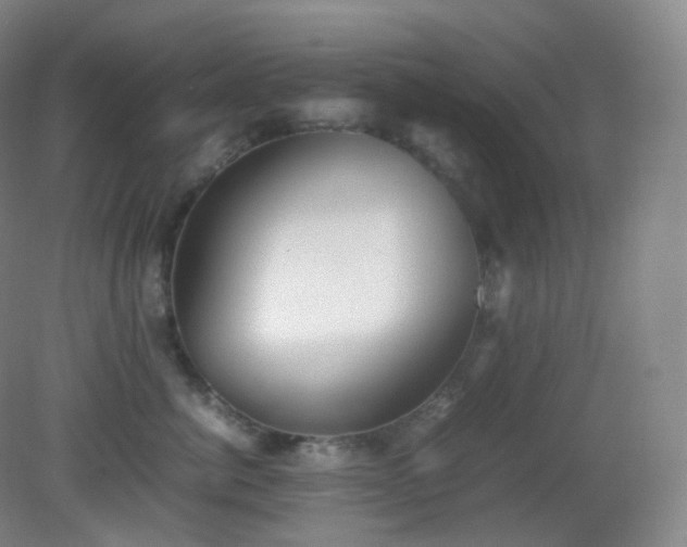 X0000081310764200701181902