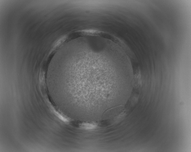 X0000081310765200701181902