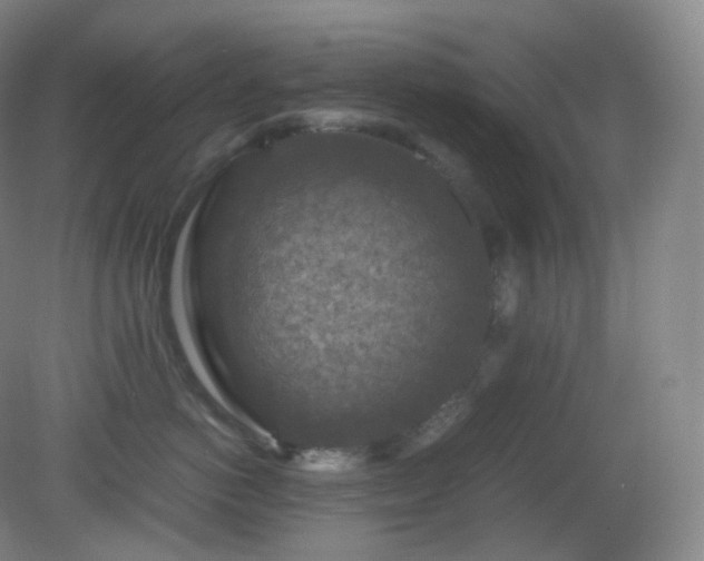 X0000081310766200701181902