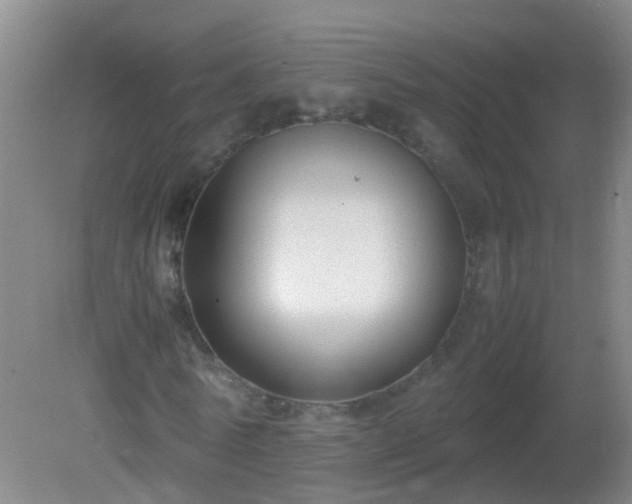 X0000081310770200701181901