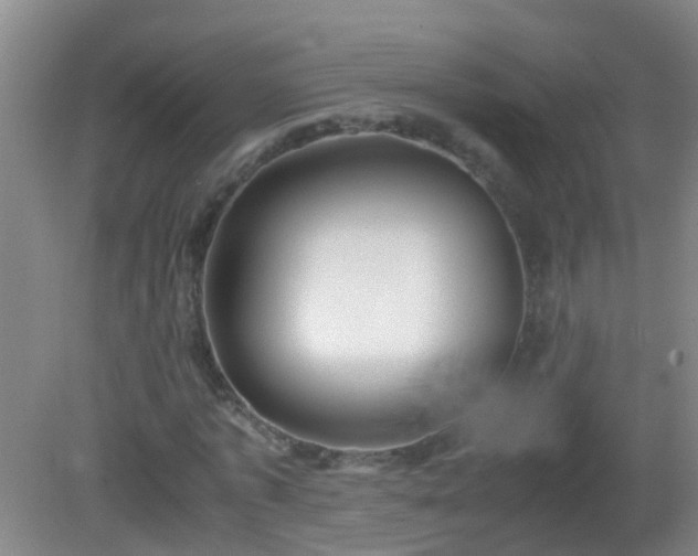 X0000081310773200701181901