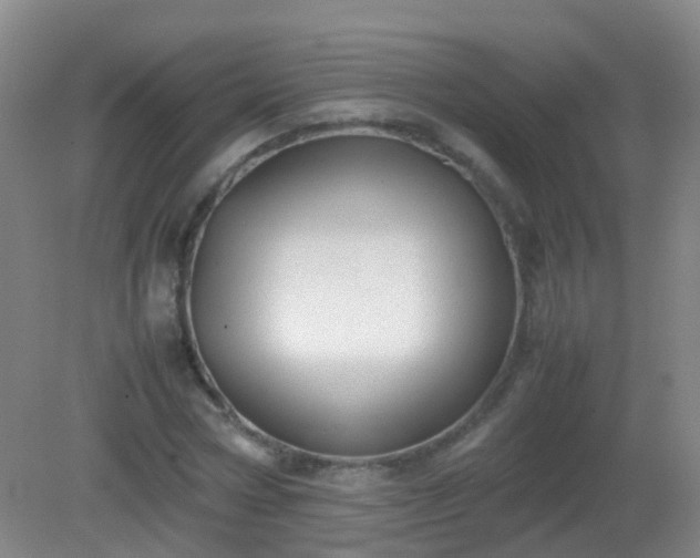 X0000081310778200701181901