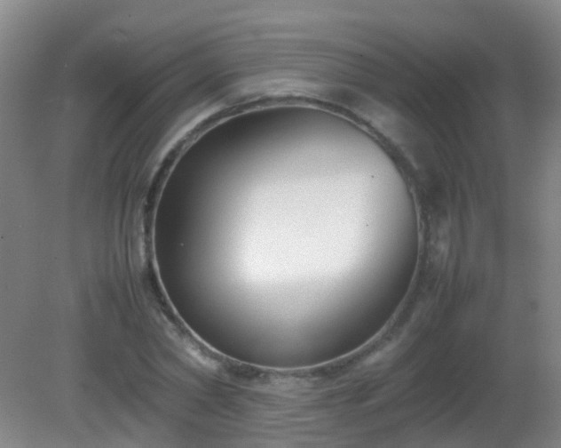 X0000081310782200701181901