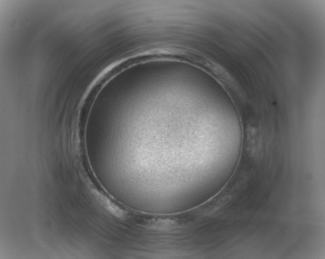 X0000081310784200701181901