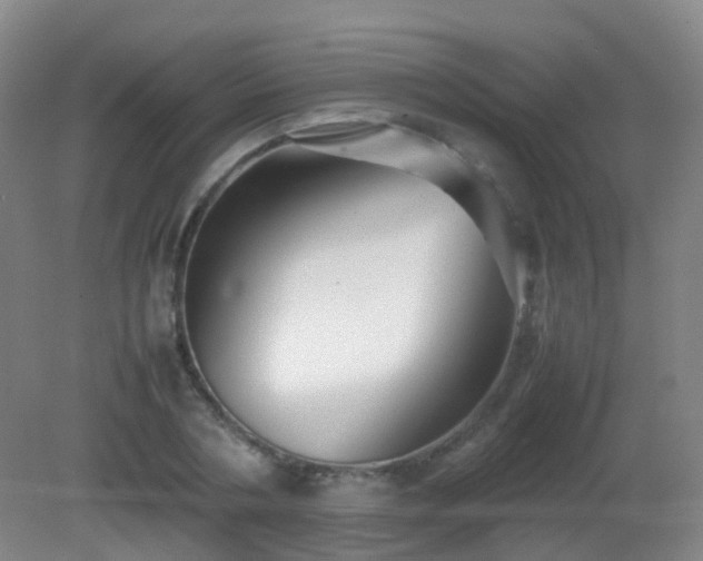 X0000081310786200701181901