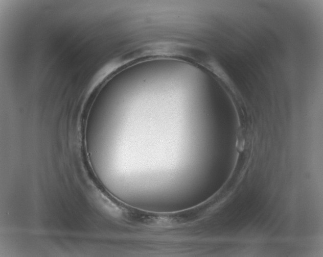 X0000081310787200701181901