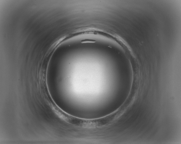 X0000081310793200701181901