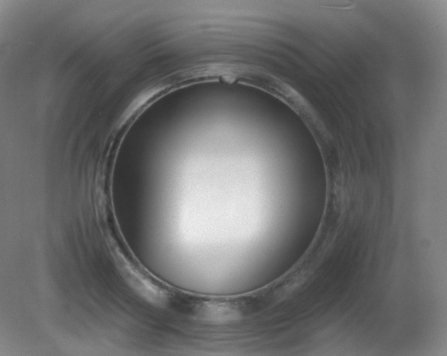 X0000081310794200701181901