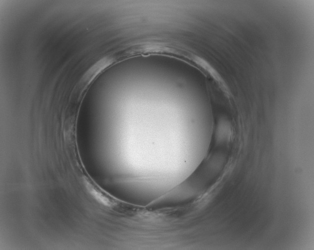 X0000081310801200701181900