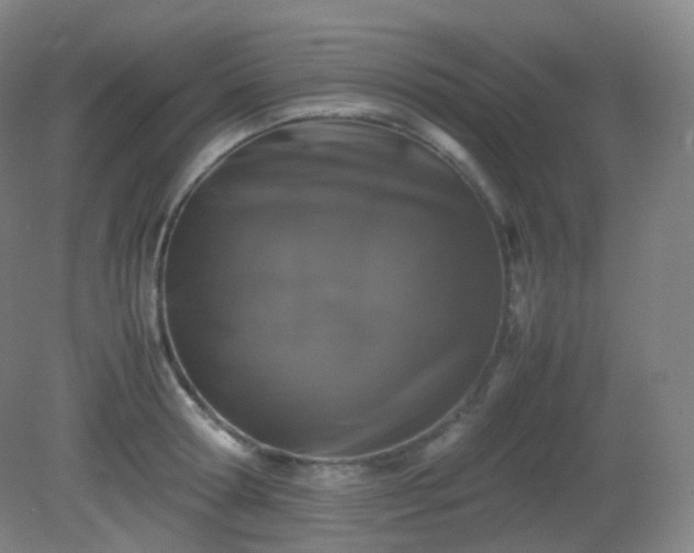 X0000081310802200701181900