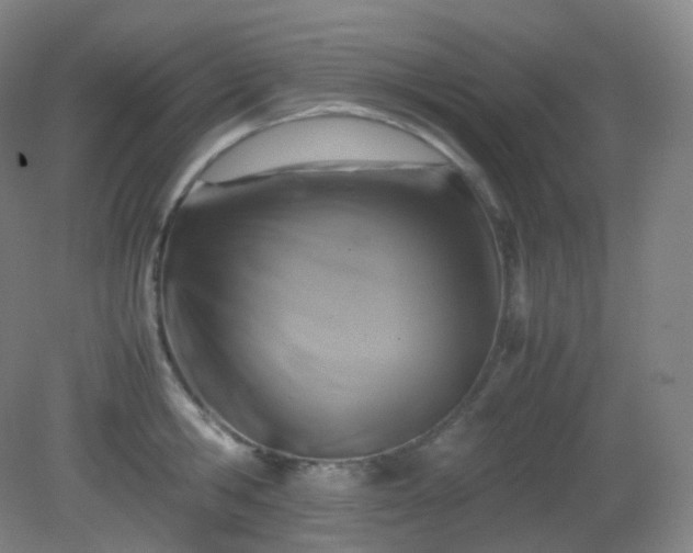 X0000081310806200701181900