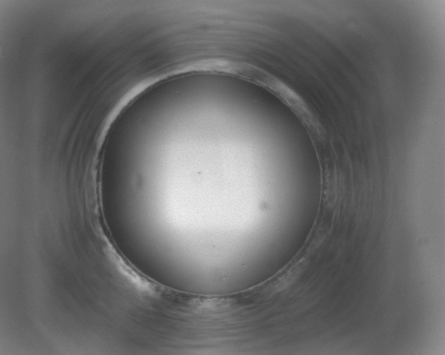 X0000081310808200701181900