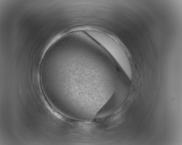 X0000081310813200701181900