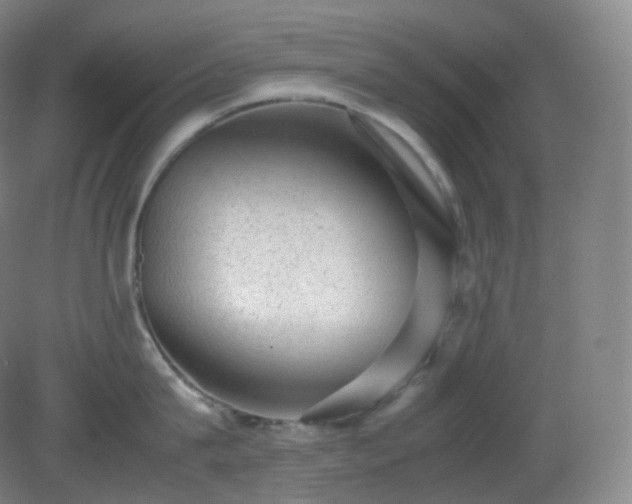X0000081310815200701181900