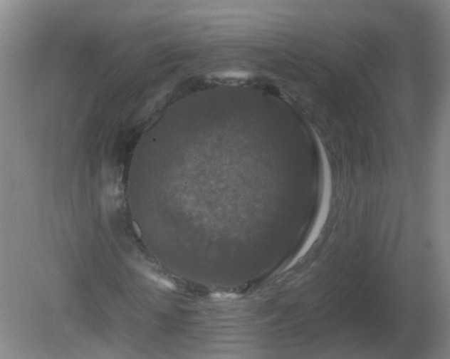 X0000081310818200701181859