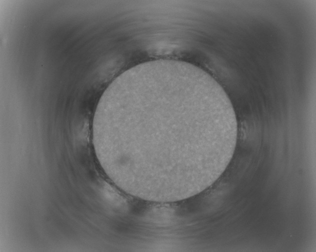 X0000081310820200701181859