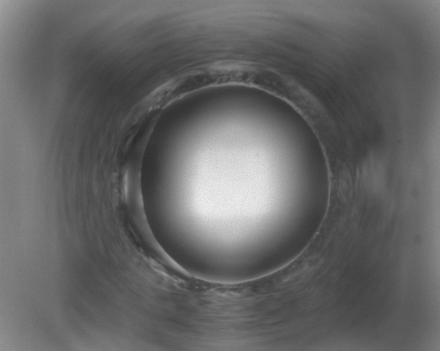 X0000081310821200701181859