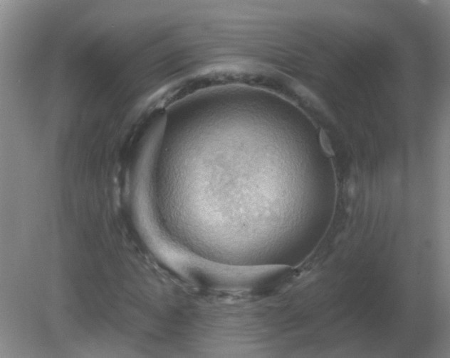 X0000081310822200701181859
