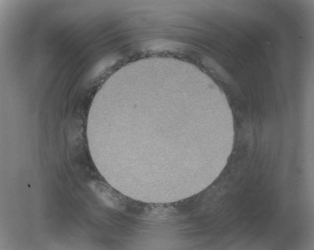 X0000081310824200701181900
