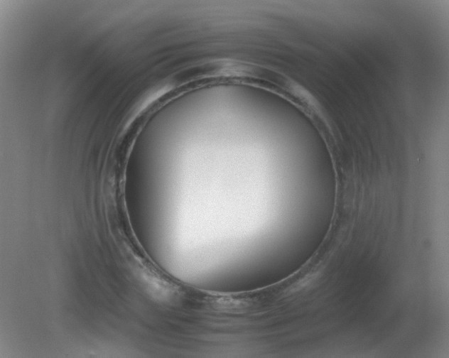 X0000081310827200701181900
