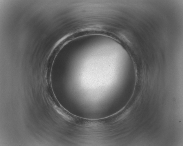 X0000081310830200701181900