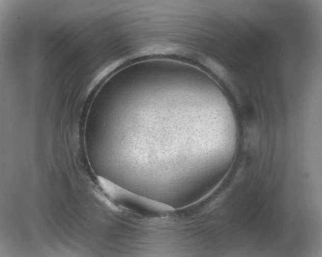 X0000081310834200701181900