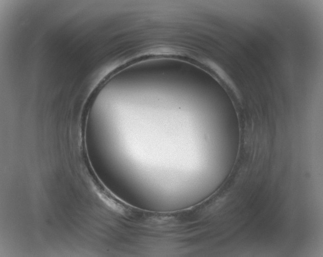 X0000081310837200701181900