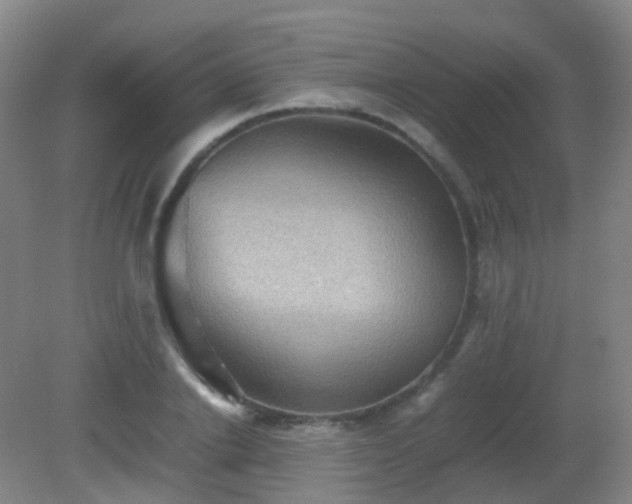 X0000081310838200701181900