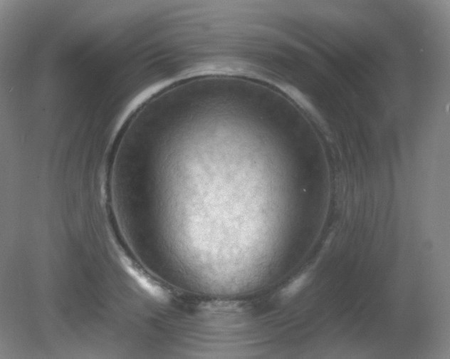 X0000081310846200701181900