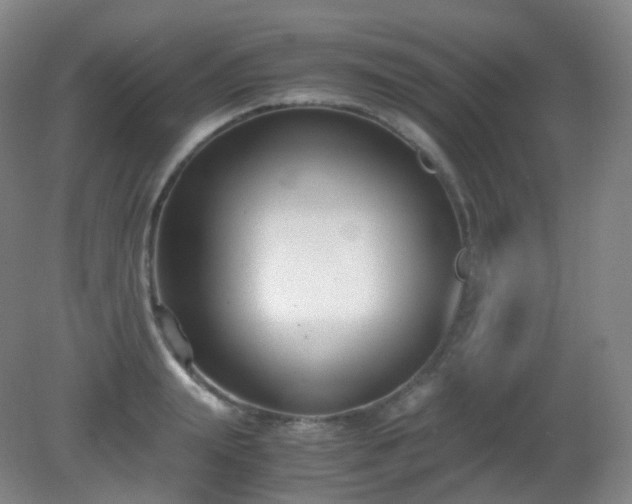 X0000081310847200701181900