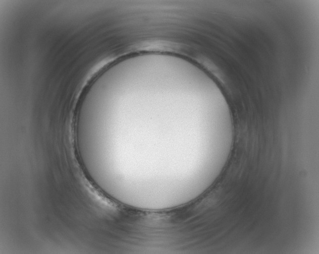 X0000081310848200701181900