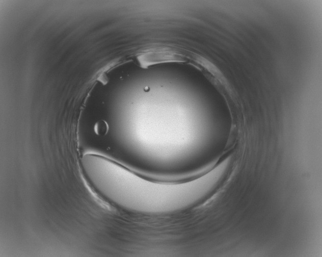 X0000081310849200701181900