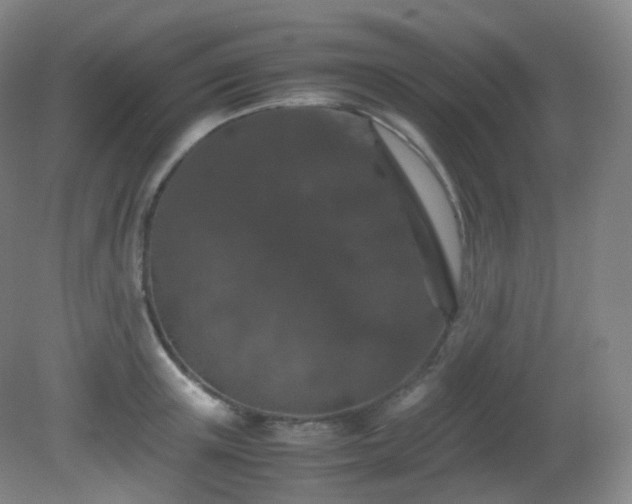 X0000081310851200701181900