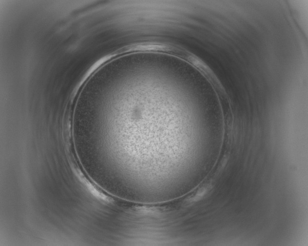 X0000081310852200701181900