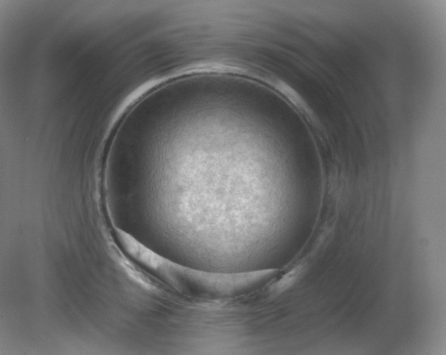 X0000081310854200701181900