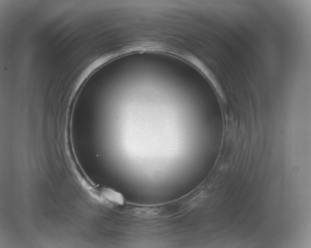 X0000081310861200701181900
