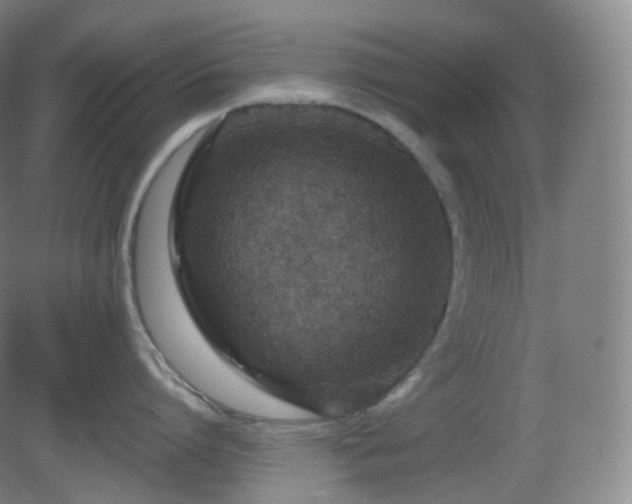 X0000081310864200701181900