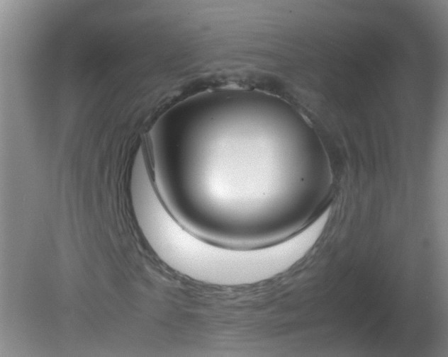 X0000081310865200701181859
