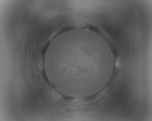 X0000081310867200701181859
