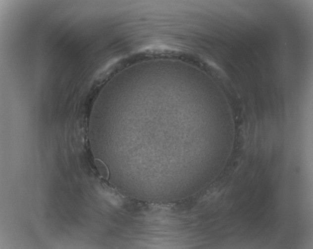 X0000081310870200701181859