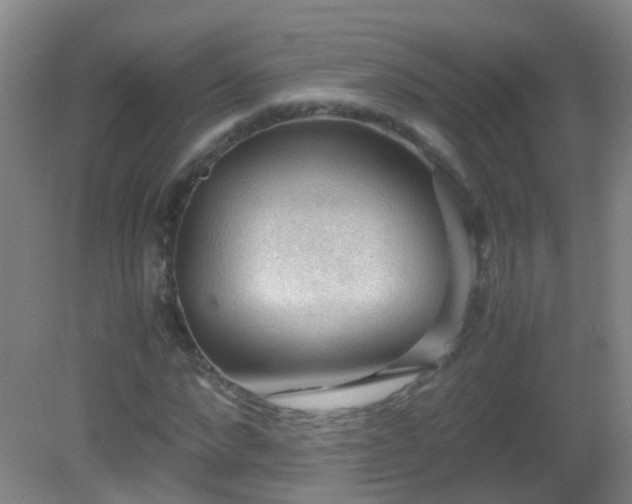 X0000081310872200701181859