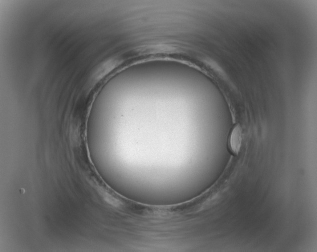 X0000081310873200701181859