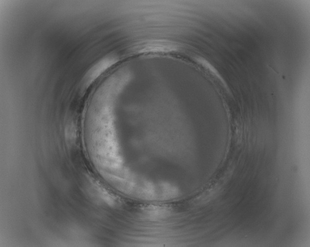 X0000081310874200701181859