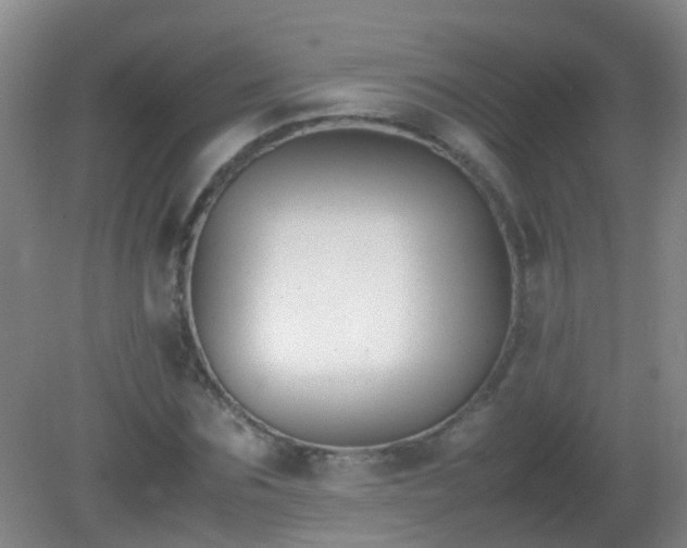 X0000081310875200701181859