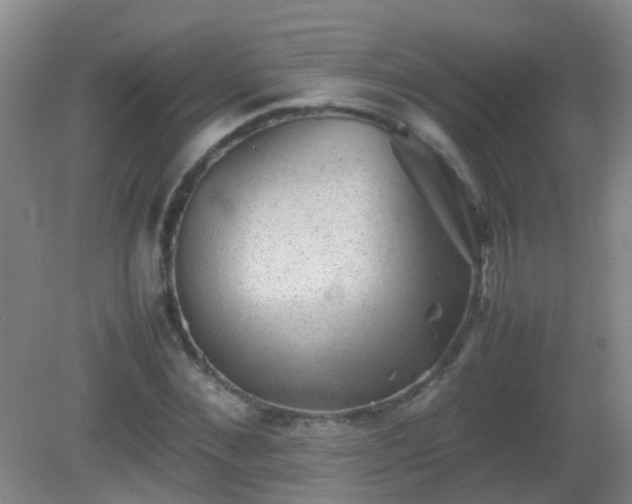 X0000081310876200701181859