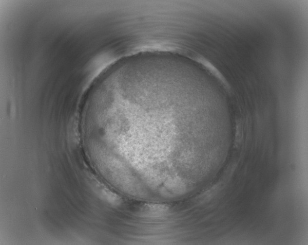 X0000081310878200701181859