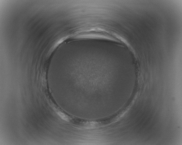 X0000081310881200701181859